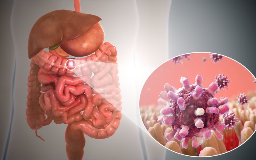 infections in the intestines